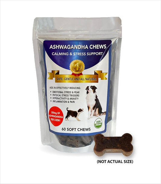 ASHWAGANDHA CHEWS