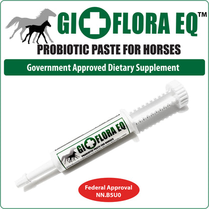 BEST PROBIOTIC PASTE FOR HOSES, HEALTH CANADA APPROVED